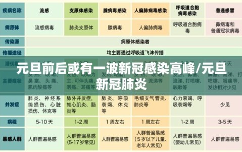 元旦前后或有一波新冠感染高峰/元旦新冠肺炎