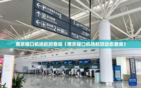 南京禄口机场航班查询（南京禄口机场航班动态查询）