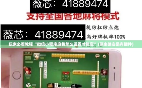 玩家必看教程“微信小程序麻将怎么设置才能赢”(原来确实是有插件)