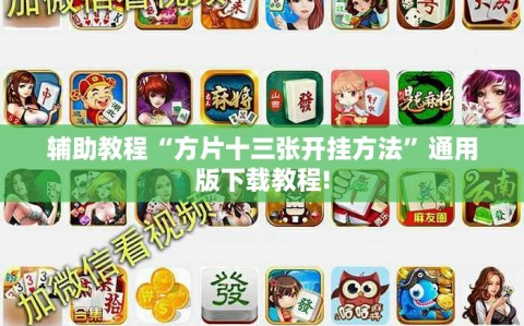 辅助教程“方片十三张开挂方法”通用版下载教程!