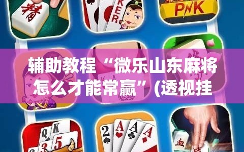 辅助教程“微乐山东麻将怎么才能常赢”(透视挂)辅助透视教程