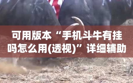 可用版本“手机斗牛有挂吗怎么用(透视)”详细辅助透视