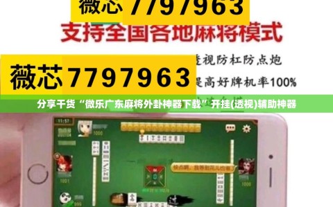 分享干货“微乐广东麻将外卦神器下载”开挂(透视)辅助神器