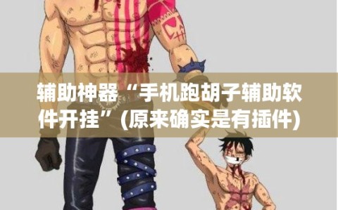 辅助神器“手机跑胡子辅助软件开挂”(原来确实是有插件)