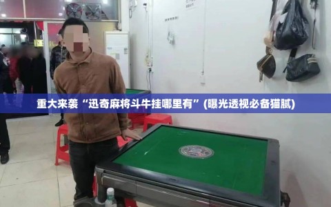 重大来袭“迅奇麻将斗牛挂哪里有”(曝光透视必备猫腻)