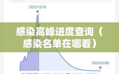 感染高峰进度查询（感染名单在哪看）