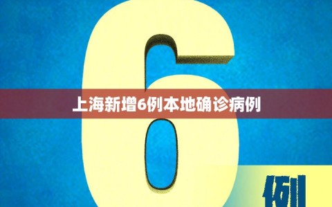 上海新增6例本地确诊病例