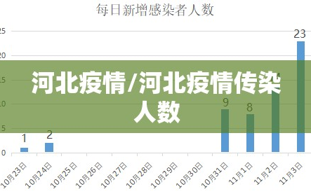 河北疫情/河北疫情传染人数