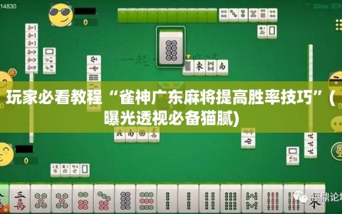 玩家必看教程“雀神广东麻将提高胜率技巧”(曝光透视必备猫腻)