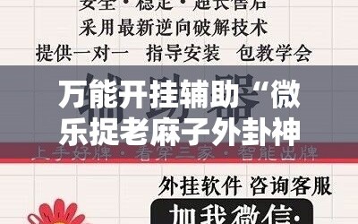 万能开挂辅助“微乐捉老麻子外卦神器最新版更新内”分享装挂详细步骤