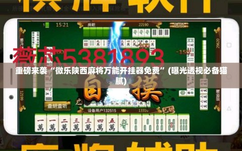 重磅来袭“微乐陕西麻将万能开挂器免费”(曝光透视必备猫腻)