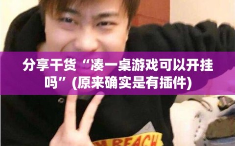 分享干货“凑一桌游戏可以开挂吗”(原来确实是有插件)