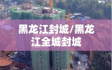 黑龙江封城/黑龙江全城封城