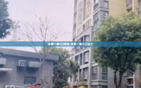 合肥一家5口阳性/合肥一家三口坠亡