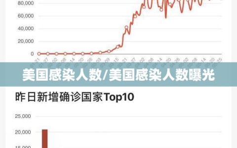 美国感染人数/美国感染人数曝光