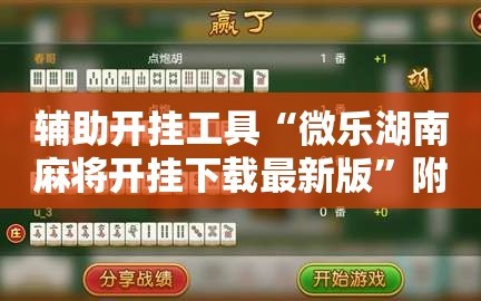 辅助开挂工具“微乐湖南麻将开挂下载最新版”附开挂脚本详细教程