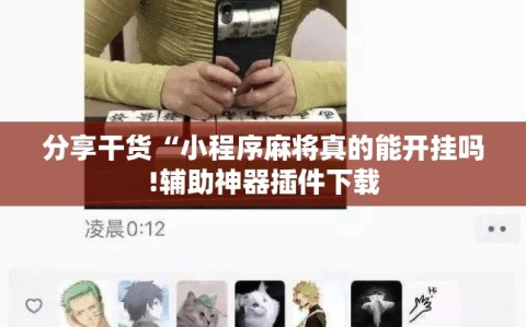 分享干货“小程序麻将真的能开挂吗!辅助神器插件下载