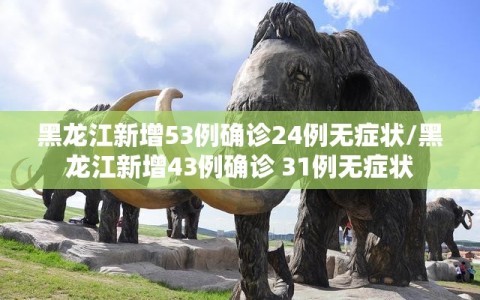 黑龙江新增53例确诊24例无症状/黑龙江新增43例确诊 31例无症状