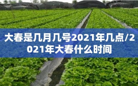大春是几月几号2021年几点/2021年大春什么时间