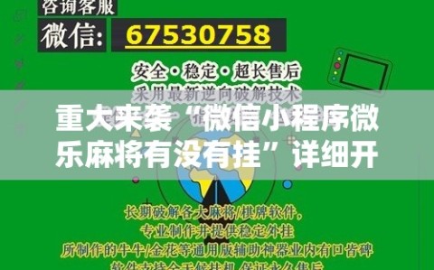 重大来袭“微信小程序微乐麻将有没有挂”详细开挂玩法