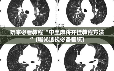 玩家必看教程“中至麻将开挂教程方法”(曝光透视必备猫腻)
