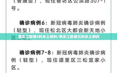 黑龙江新增5例本土病例/黑龙江新增五例本土病例