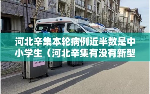 河北辛集本轮病例近半数是中小学生（河北辛集有没有新型肺炎2021年）