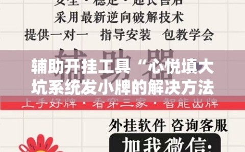 辅助开挂工具“心悦填大坑系统发小牌的解决方法”分享装挂详细步骤