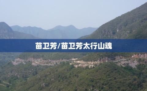 苗卫芳/苗卫芳太行山魂