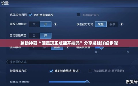 辅助神器“随意玩正版能开挂吗”分享装挂详细步骤
