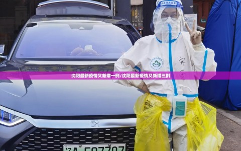 沈阳最新疫情又新增一例/沈阳最新疫情又新增三例