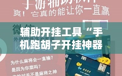 辅助开挂工具“手机跑胡子开挂神器”开挂详细安装教程