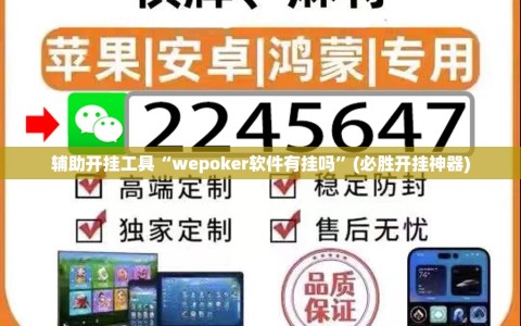 辅助开挂工具“wepoker软件有挂吗”(必胜开挂神器)