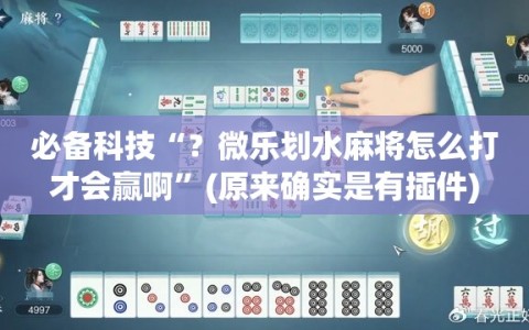 必备科技“？微乐划水麻将怎么打才会赢啊”(原来确实是有插件)