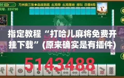 指定教程“打哈儿麻将免费开挂下载”(原来确实是有插件)