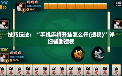 技巧玩法：“手机麻将开挂怎么开(透视)”详细辅助透视