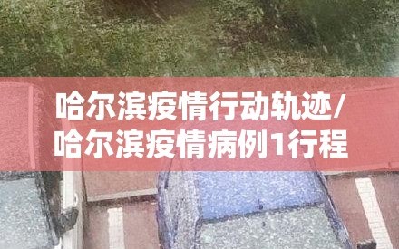 哈尔滨疫情行动轨迹/哈尔滨疫情病例1行程