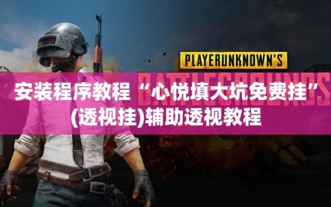 安装程序教程“心悦填大坑免费挂”(透视挂)辅助透视教程