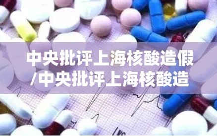 中央批评上海核酸造假/中央批评上海核酸造假事件
