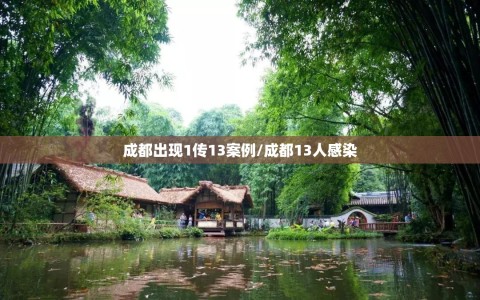 成都出现1传13案例/成都13人感染
