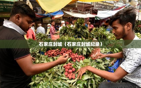 石家庄封城（石家庄封城纪录）