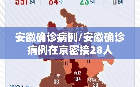 安徽确诊病例/安徽确诊病例在京密接28人