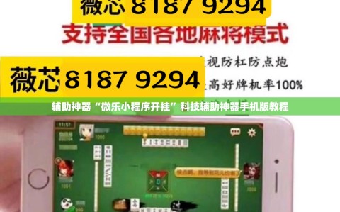 辅助神器“微乐小程序开挂”科技辅助神器手机版教程