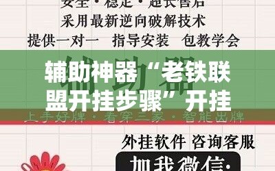 辅助神器“老铁联盟开挂步骤”开挂详细安装教程