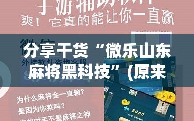 分享干货“微乐山东麻将黑科技”(原来确实是有插件)
