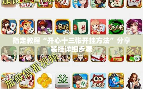 指定教程“开心十三张开挂方法”分享装挂详细步骤