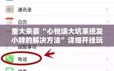 重大来袭“心悦填大坑系统发小牌的解决方法”详细开挂玩法