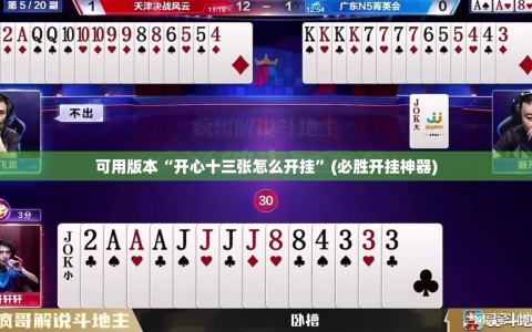 可用版本“开心十三张怎么开挂”(必胜开挂神器)