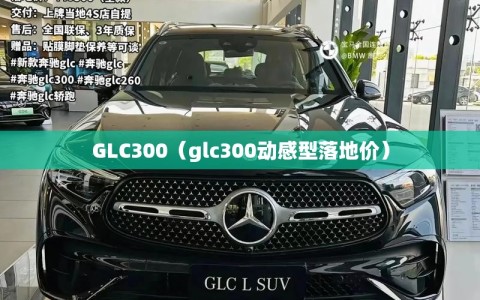 GLC300（glc300动感型落地价）