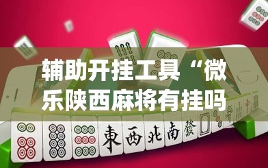 辅助开挂工具“微乐陕西麻将有挂吗”(透视挂)辅助透视教程